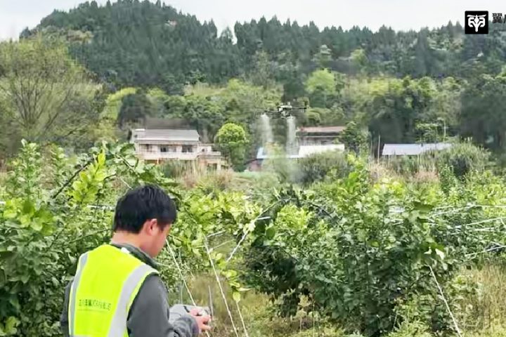 人工打药难落地？翼启低空飞防军团，一站式搞定大田与山地果园植保！