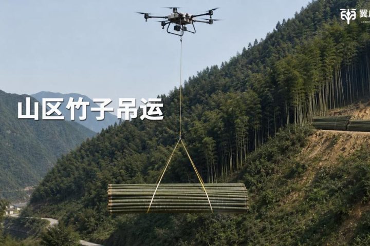 打通竹林出山最后一公里｜翼启低空重载无人机毛竹楠竹吊运，破解深山竹材转运困局